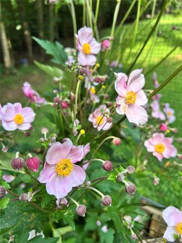 7602 Wilson Farm Road, Summerfield, NC 27358