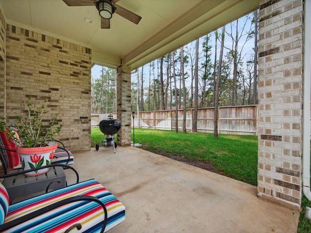 316 Mullins Court, Montgomery, TX 77316