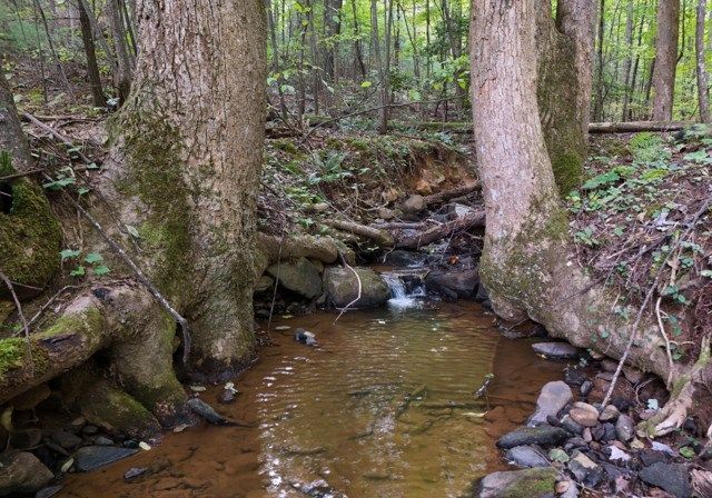 3360 Turniptown Road, Ellijay, GA 30536