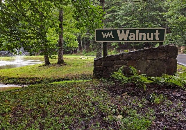 3360 Turniptown Road, Ellijay, GA 30536