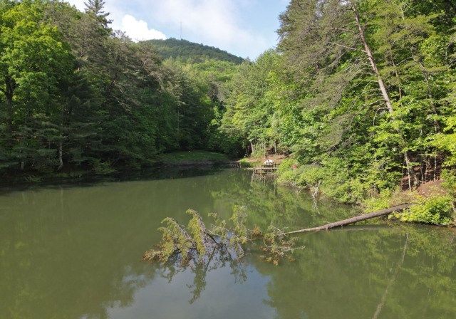 3360 Turniptown Road, Ellijay, GA 30536