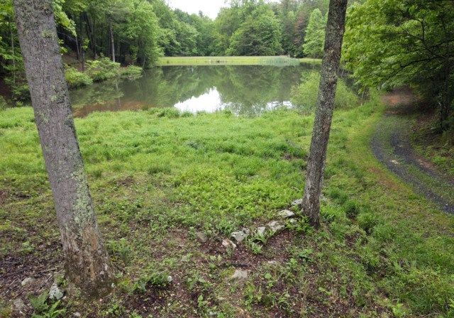 3360 Turniptown Road, Ellijay, GA 30536