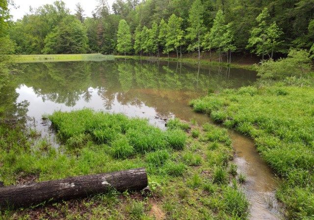 3360 Turniptown Road, Ellijay, GA 30536