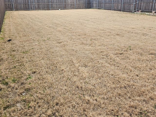 1187 Norias Drive, Forney, TX 75126