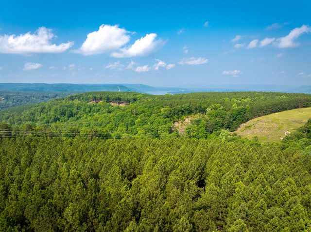 0 Split Rail Way ,Lot 1193, Guild, TN 37340