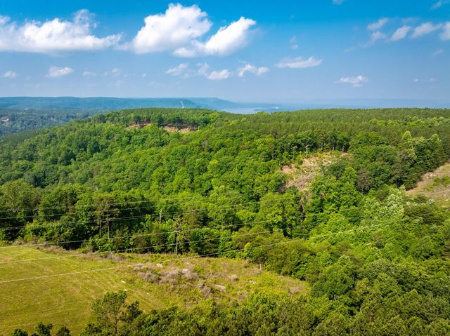 0 Split Rail Way ,Lot 1193, Guild, TN 37340