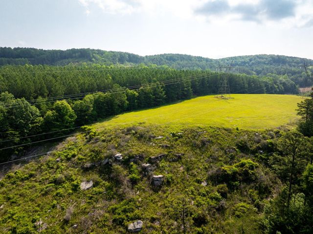 0 Split Rail Way ,Lot 1193, Guild, TN 37340