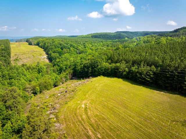 0 Split Rail Way ,Lot 1193, Guild, TN 37340