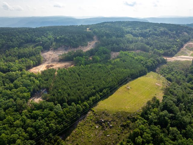 0 Split Rail Way ,Lot 1193, Guild, TN 37340