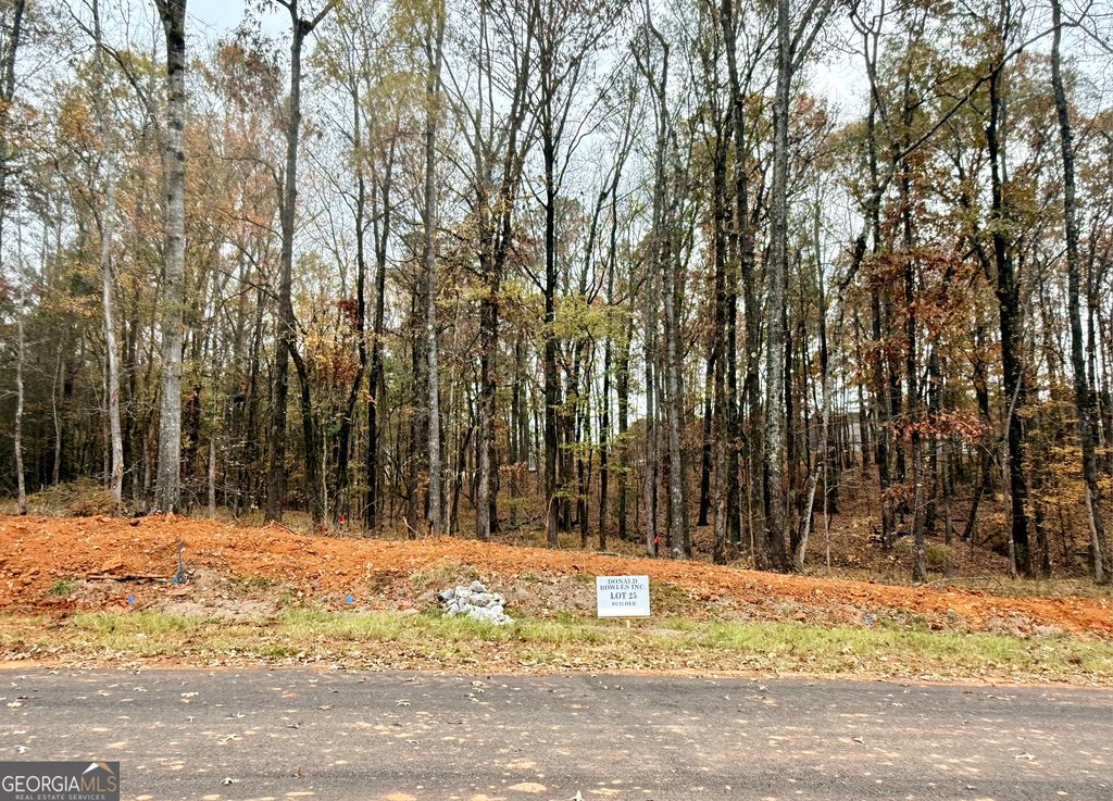 LOT 25 Rolling Meadows Way, Waverly Hall, GA 31831