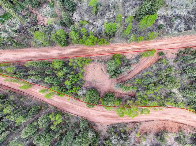 416 Willow Road, Divide, CO 80814