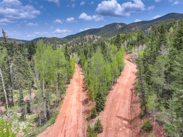 416 Willow Road, Divide, CO 80814