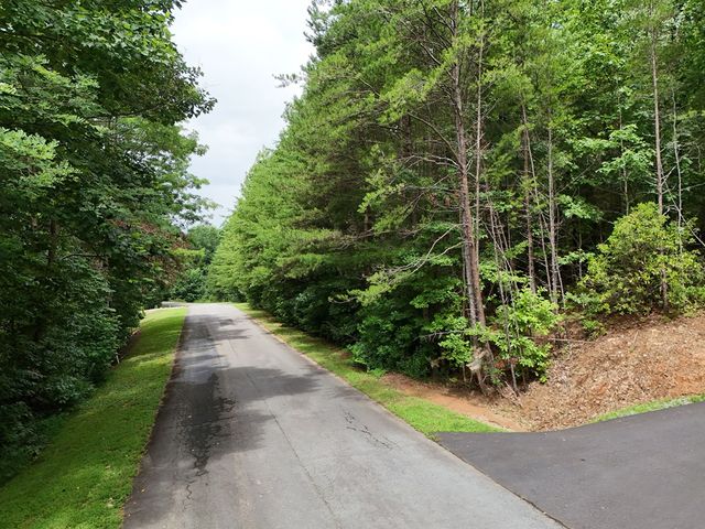 LOT 5 East Ridge Lane, Ellijay, GA 30540