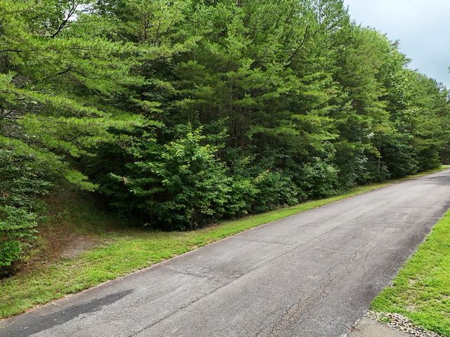 LOT 5 East Ridge Lane, Ellijay, GA 30540