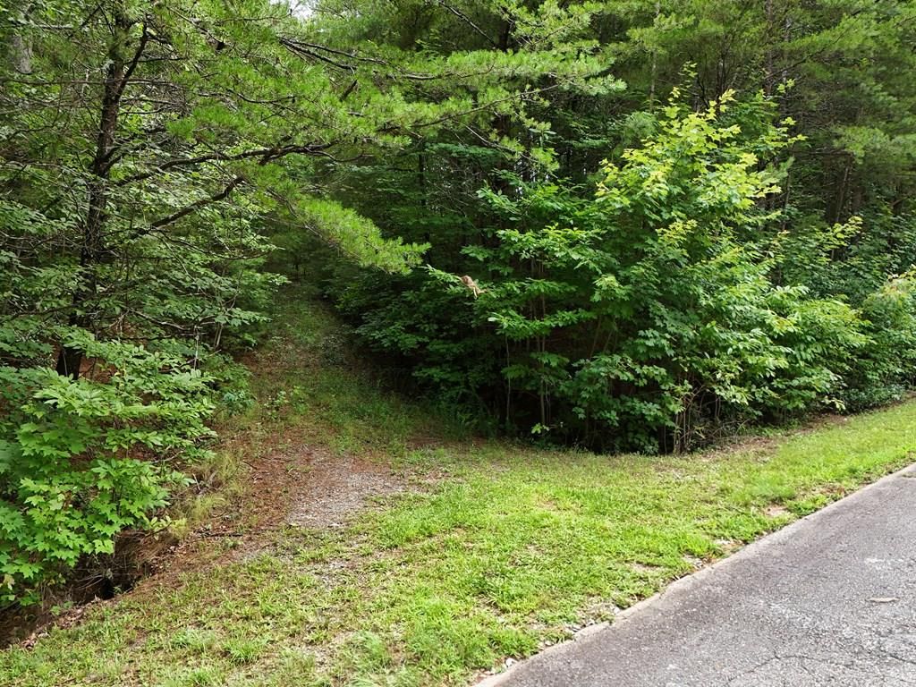 LOT 5 East Ridge Lane, Ellijay, GA 30540