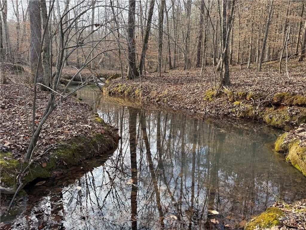 Image 1 of property listing at 0 Hulmes Chapel Road, Elberton, GA 30635