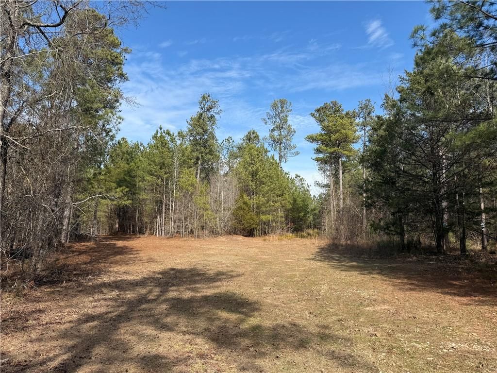 Image 10 of property listing at 0 Hulmes Chapel Road, Elberton, GA 30635