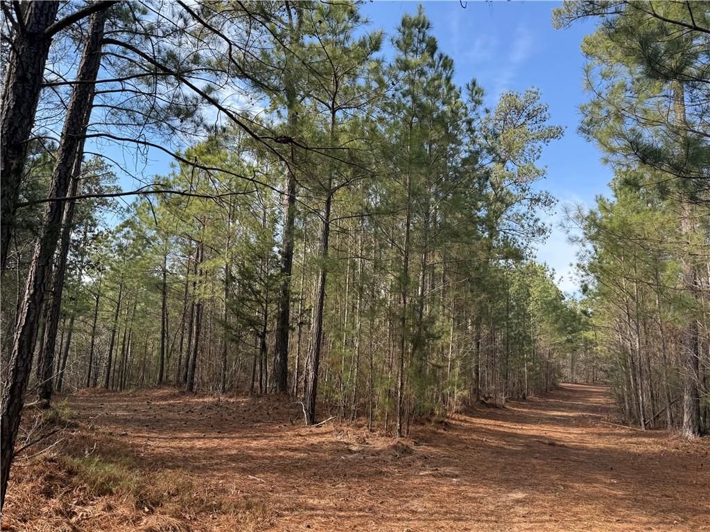 Image 11 of property listing at 0 Hulmes Chapel Road, Elberton, GA 30635