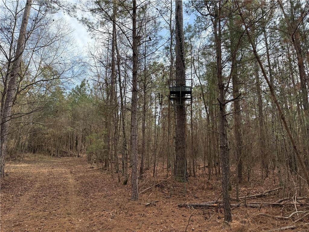 Image 12 of property listing at 0 Hulmes Chapel Road, Elberton, GA 30635