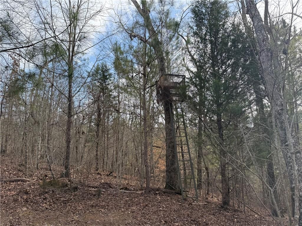 Image 13 of property listing at 0 Hulmes Chapel Road, Elberton, GA 30635