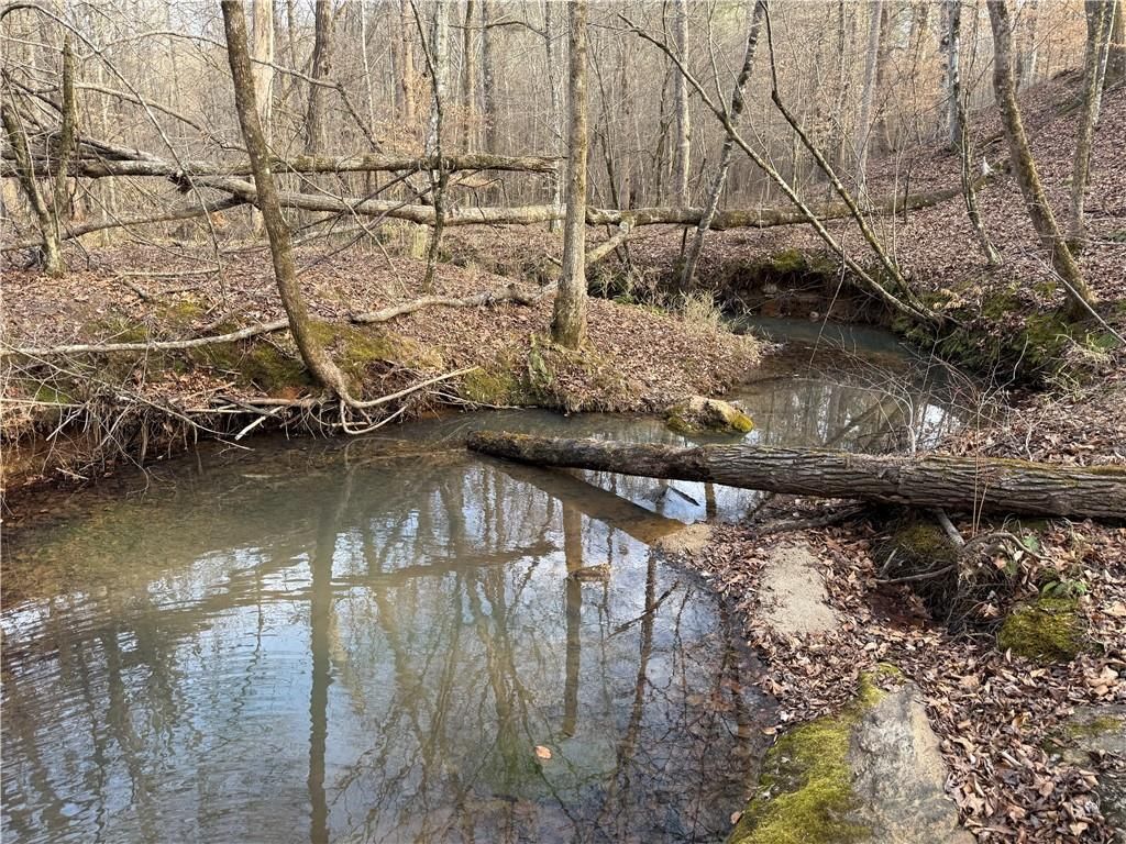 Image 14 of property listing at 0 Hulmes Chapel Road, Elberton, GA 30635