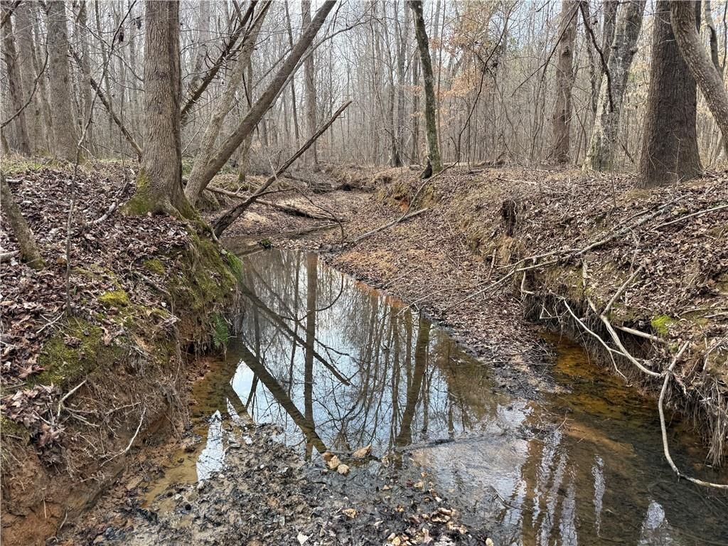 Image 15 of property listing at 0 Hulmes Chapel Road, Elberton, GA 30635