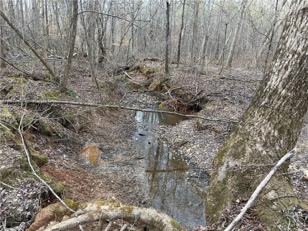 Image 16 of property listing at 0 Hulmes Chapel Road, Elberton, GA 30635