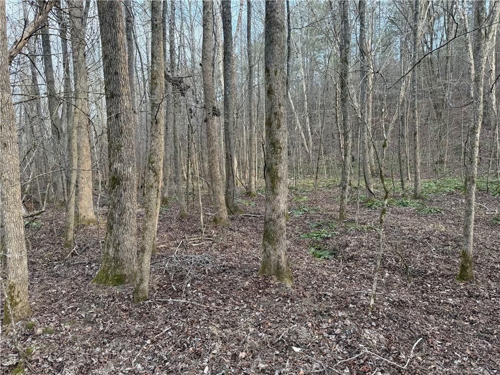 Image 17 of property listing at 0 Hulmes Chapel Road, Elberton, GA 30635
