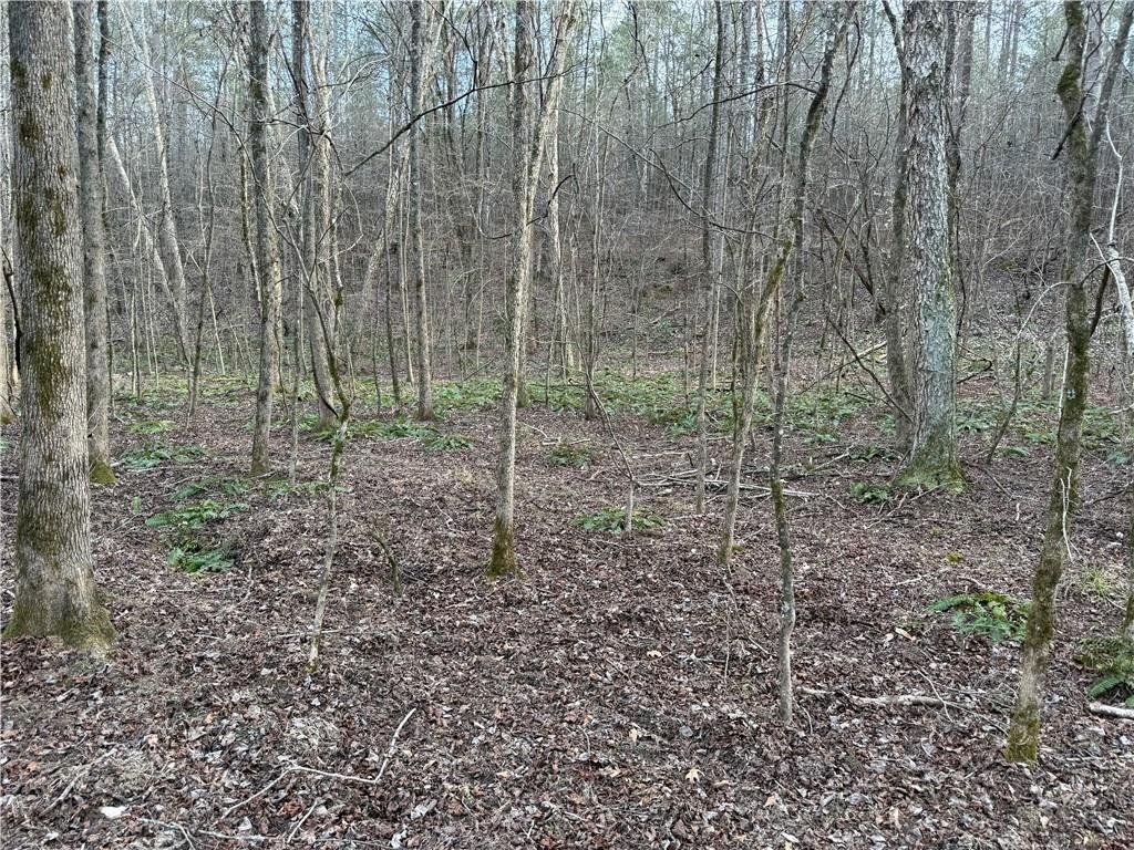 Image 18 of property listing at 0 Hulmes Chapel Road, Elberton, GA 30635