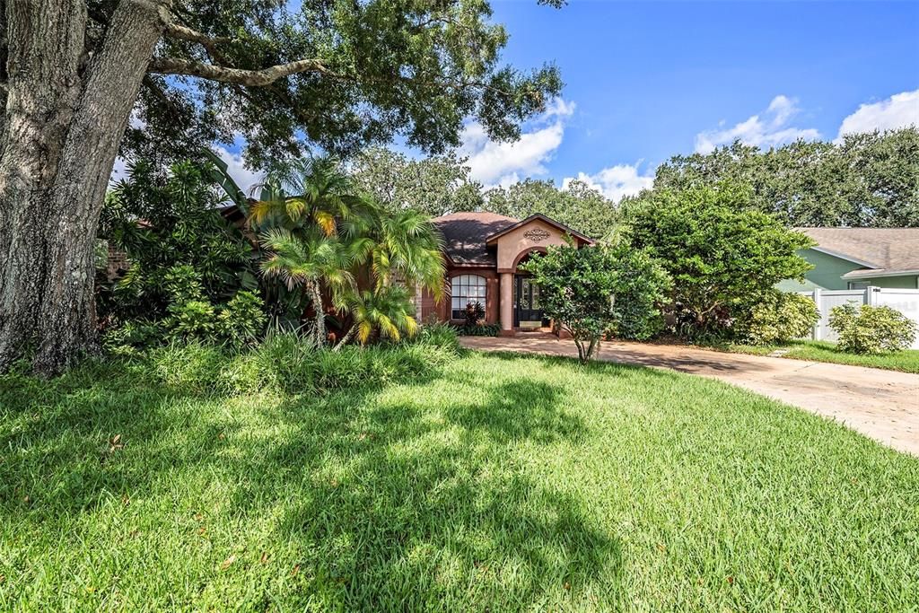 16502 CAYMAN DRIVE, Tampa, FL 33624