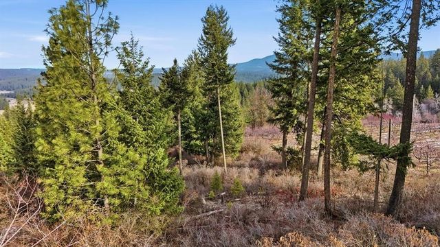 XXXXX Wildcat Ridge, Colbert, WA 99005