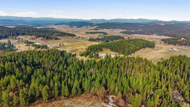 XXXXX Wildcat Ridge, Colbert, WA 99005