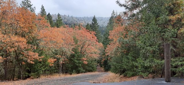 5831 Old Highway 99 S, Ashland, OR 97520