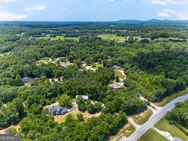 1070 Cannon Bridge Road, Demorest, GA 30535