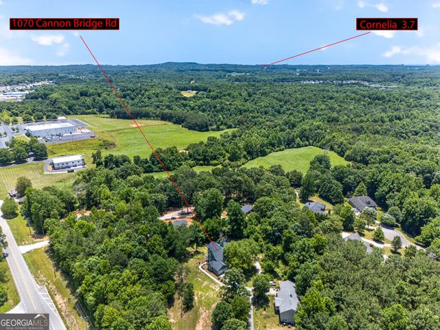 1070 Cannon Bridge Road, Demorest, GA 30535