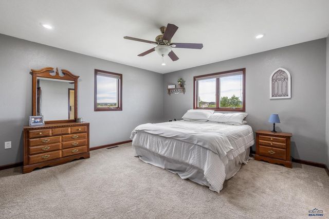 16729 WILLOW WOOD RD, Piedmont, SD 57769