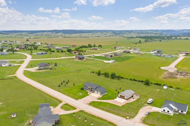 16729 WILLOW WOOD RD, Piedmont, SD 57769