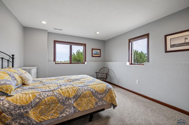 16729 WILLOW WOOD RD, Piedmont, SD 57769