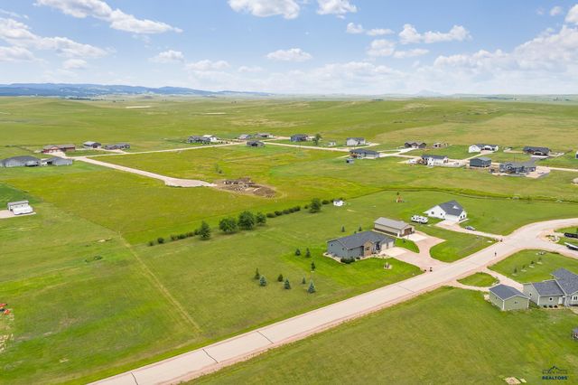 16729 WILLOW WOOD RD, Piedmont, SD 57769