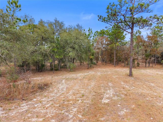 12251 SE 66TH PLACE, Morriston, FL 32668