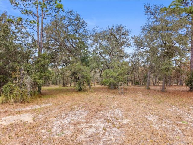 12251 SE 66TH PLACE, Morriston, FL 32668