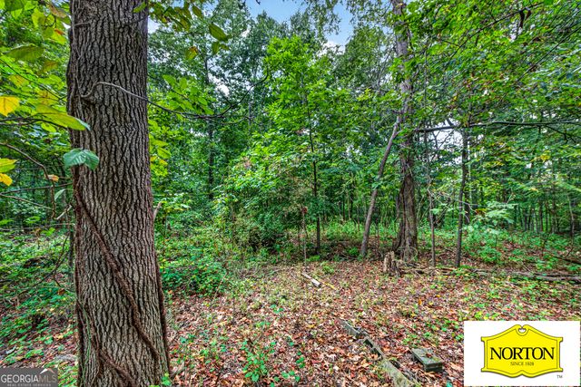 5368 Old Winder Highway, Braselton, GA 30517