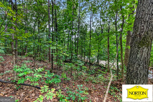 5368 Old Winder Highway, Braselton, GA 30517