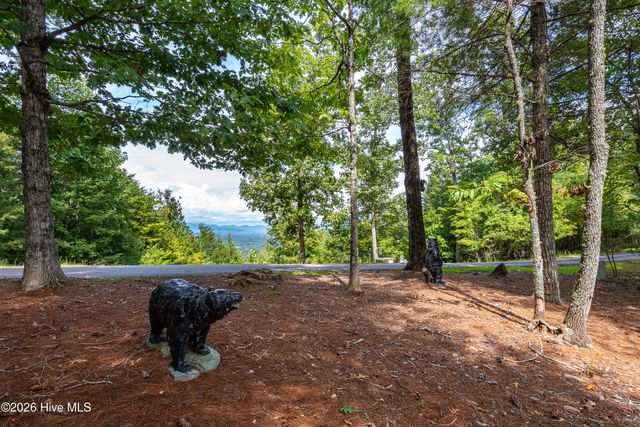 635 Brasstown View Road, Murphy, NC 28906