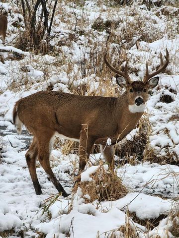 743 Royal Troon COURT, Oconomowoc, WI 53066