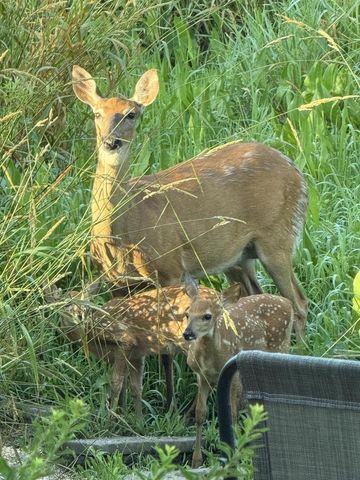 743 Royal Troon COURT, Oconomowoc, WI 53066