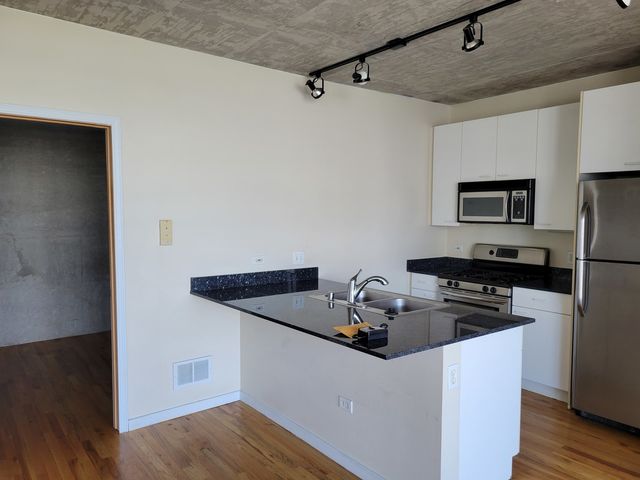 1845 S Michigan Avenue 1107, Chicago, IL 60616