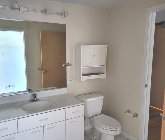 1845 S Michigan Avenue 1107, Chicago, IL 60616