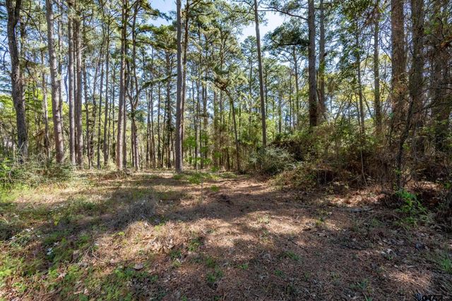 18591 & 18609 Lazy Ln, Flint, TX 75762