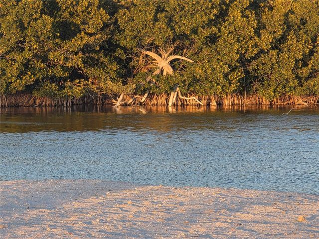 2566 GARY CIRCLE 5, Dunedin, FL 34698